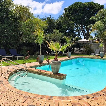 Wild Olive Guest House Le Cap Extérieur photo
