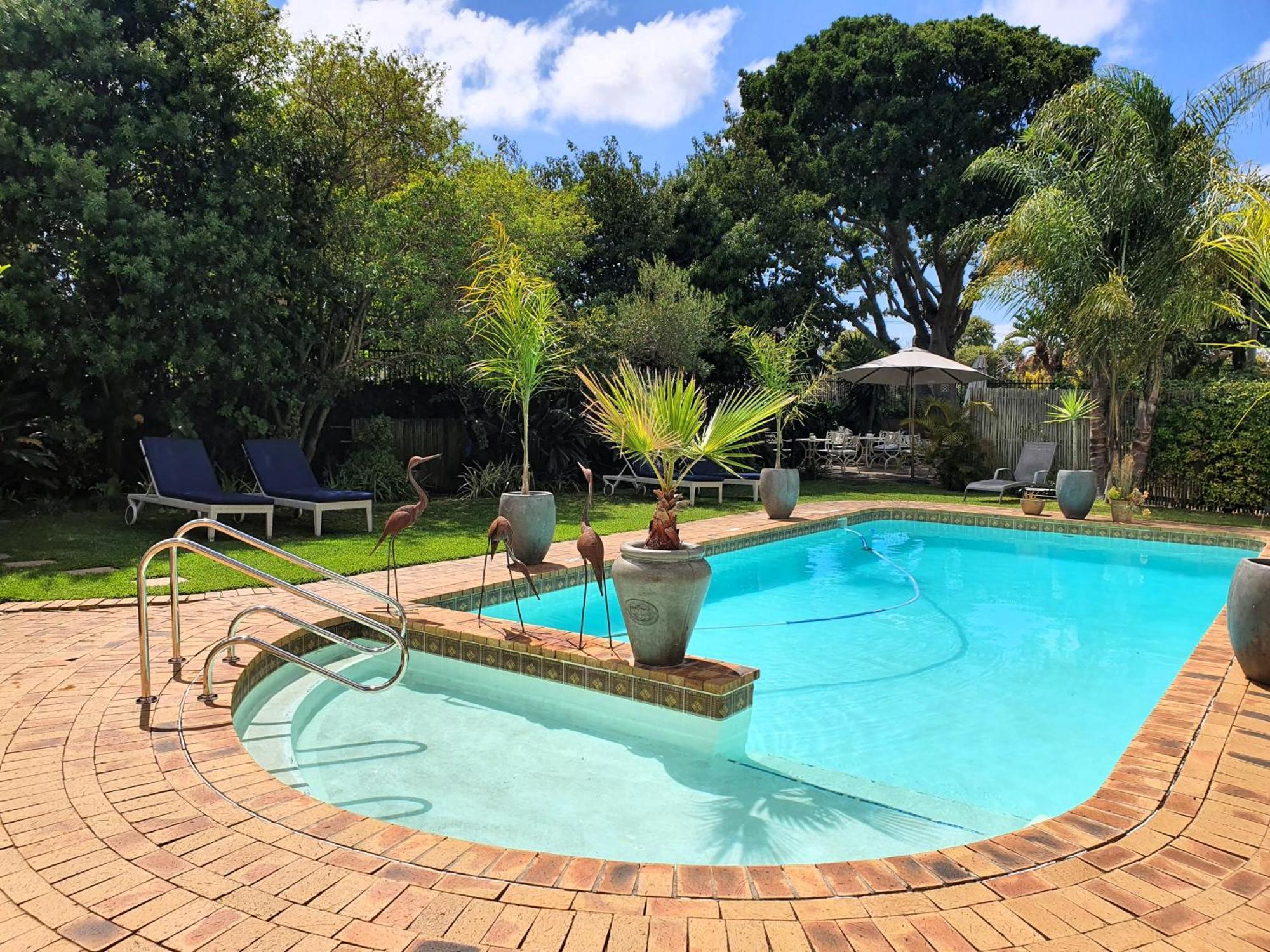 Wild Olive Guest House Le Cap Extérieur photo