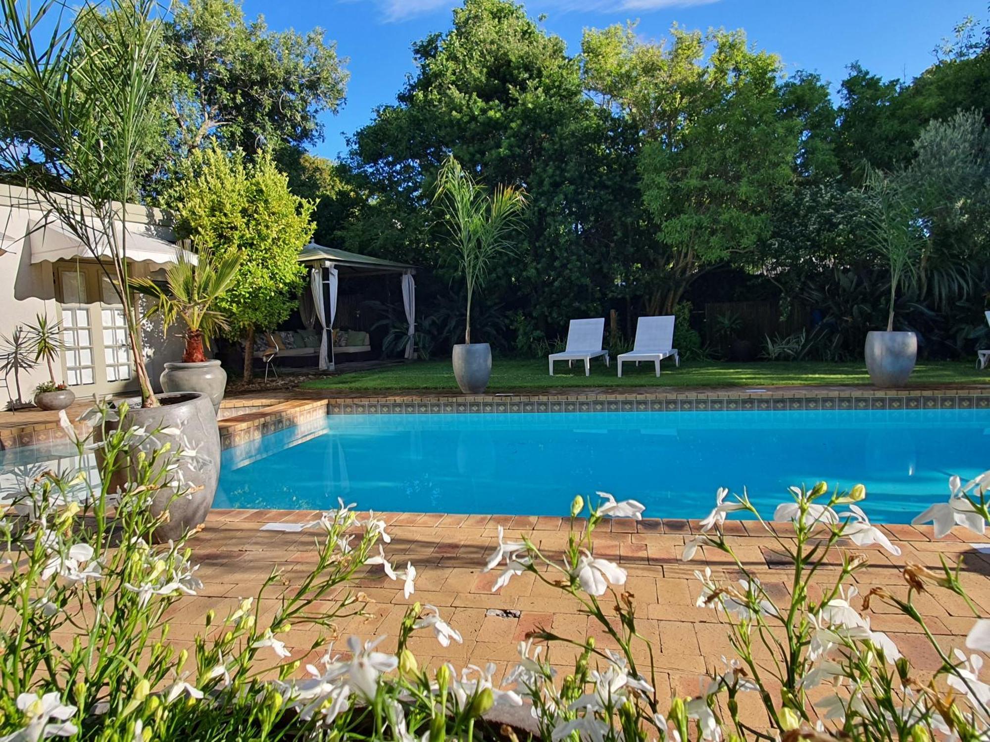 Wild Olive Guest House Le Cap Extérieur photo