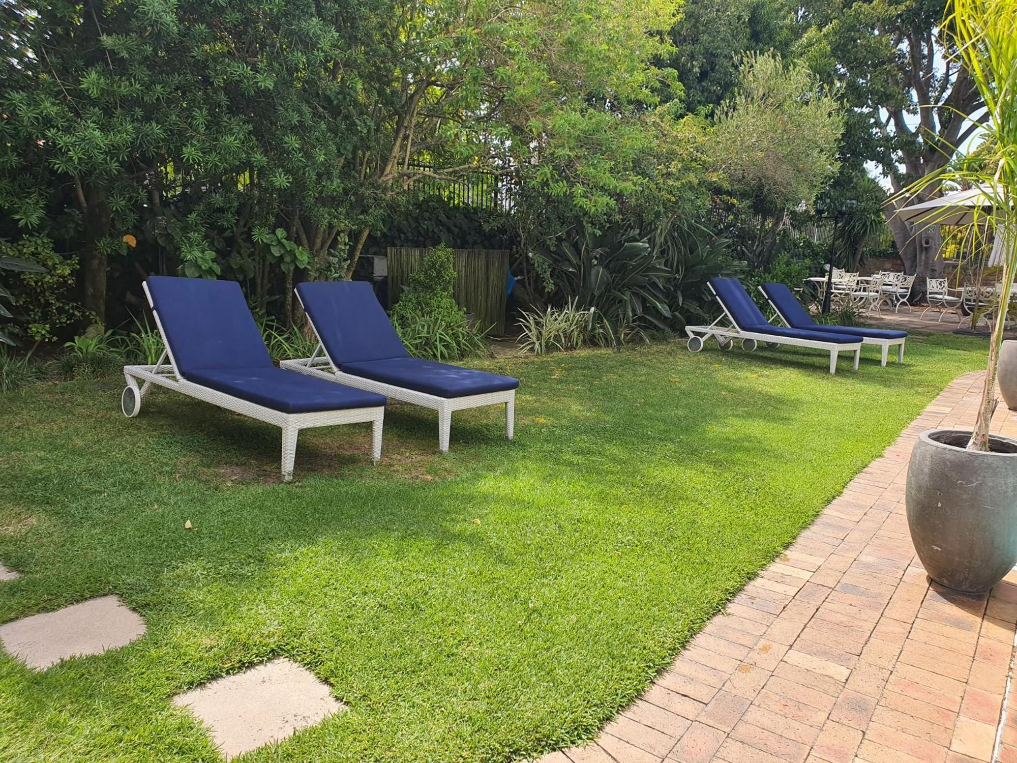 Wild Olive Guest House Le Cap Extérieur photo