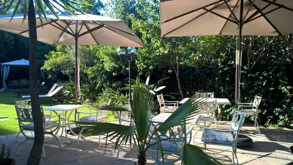 Wild Olive Guest House Le Cap Extérieur photo