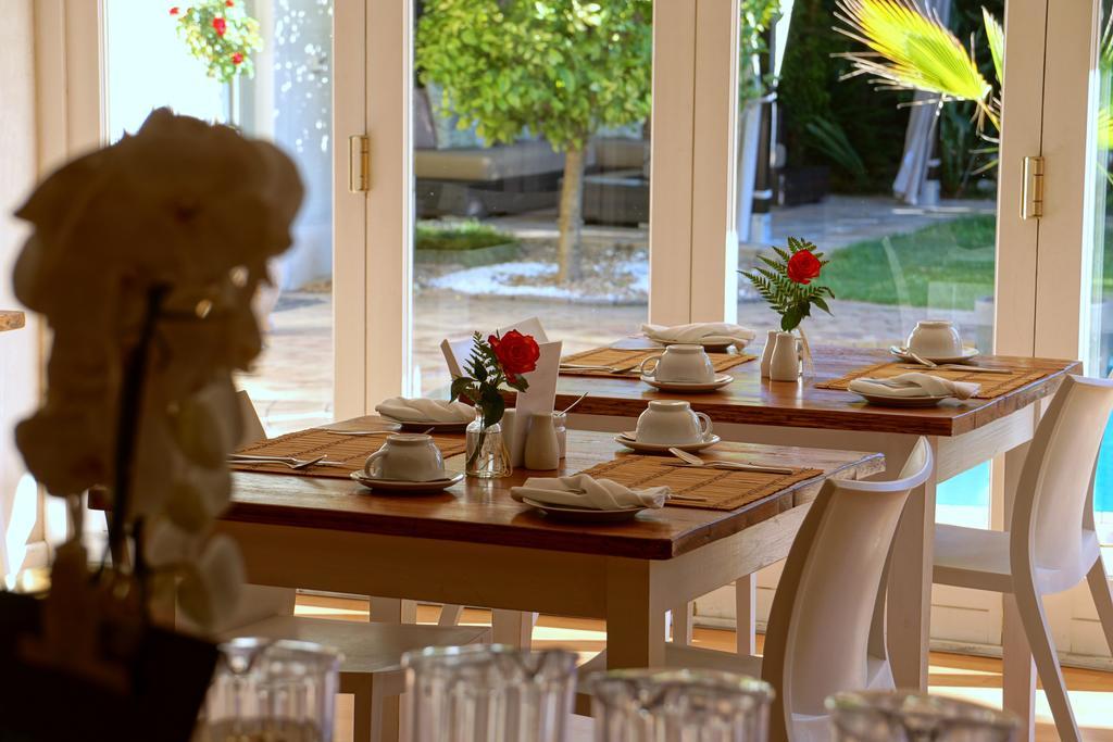 Wild Olive Guest House Le Cap Extérieur photo