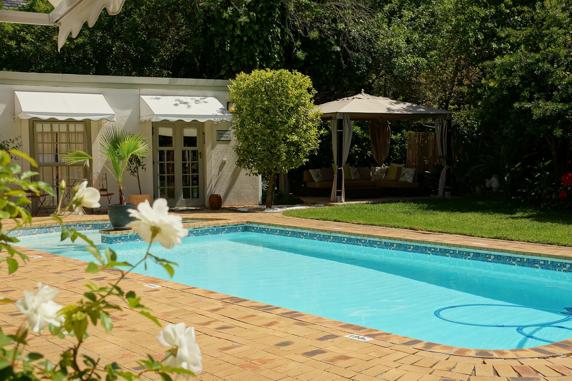 Wild Olive Guest House Le Cap Extérieur photo