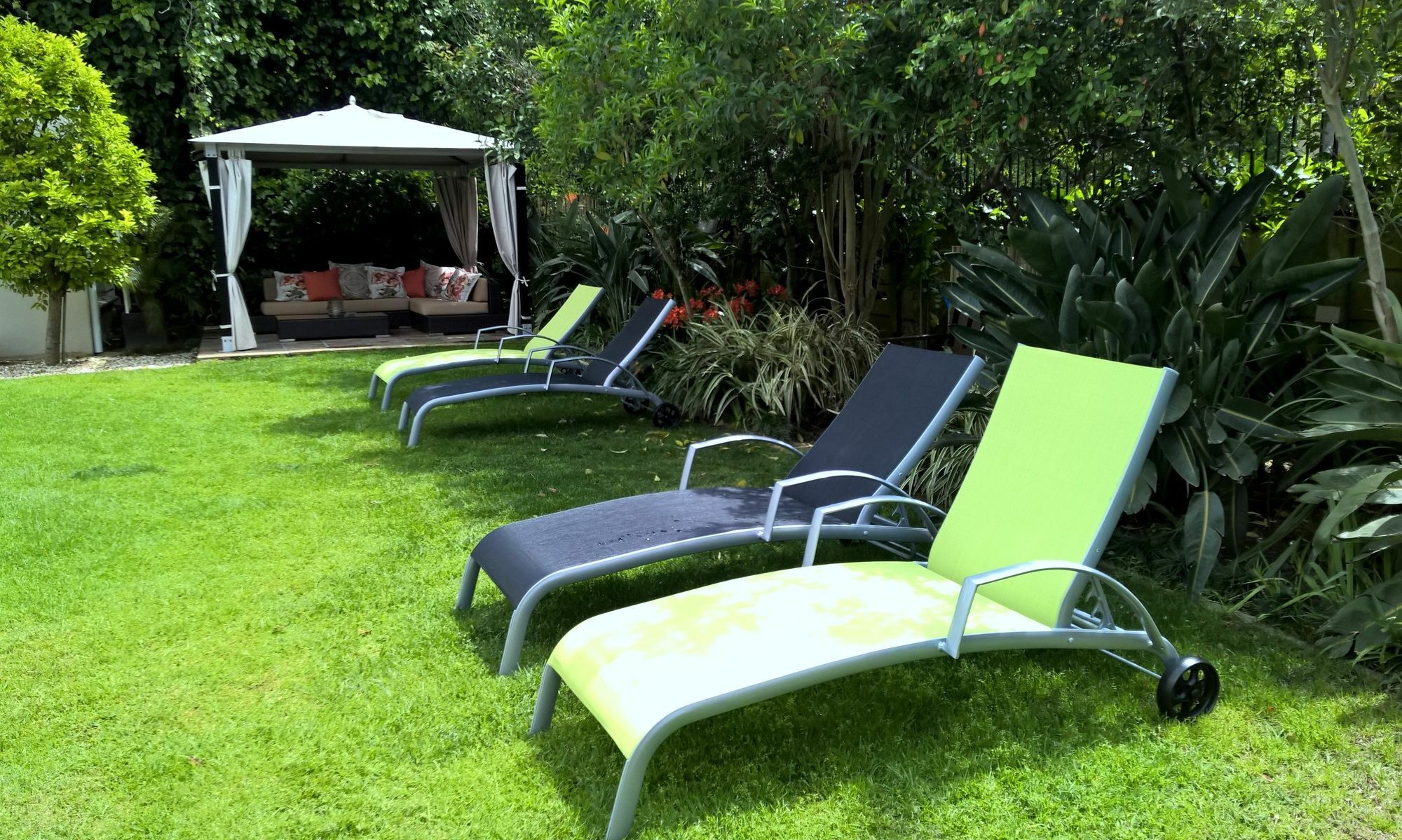Wild Olive Guest House Le Cap Extérieur photo