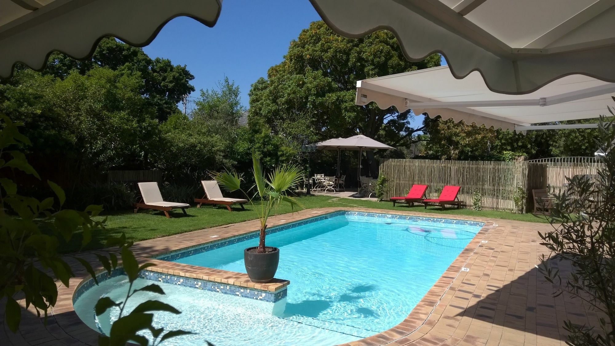 Wild Olive Guest House Le Cap Extérieur photo