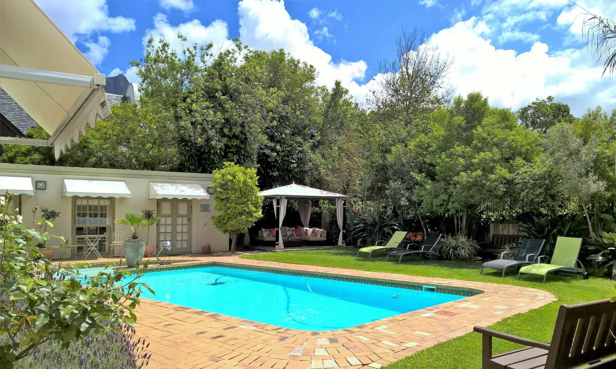 Wild Olive Guest House Le Cap Extérieur photo