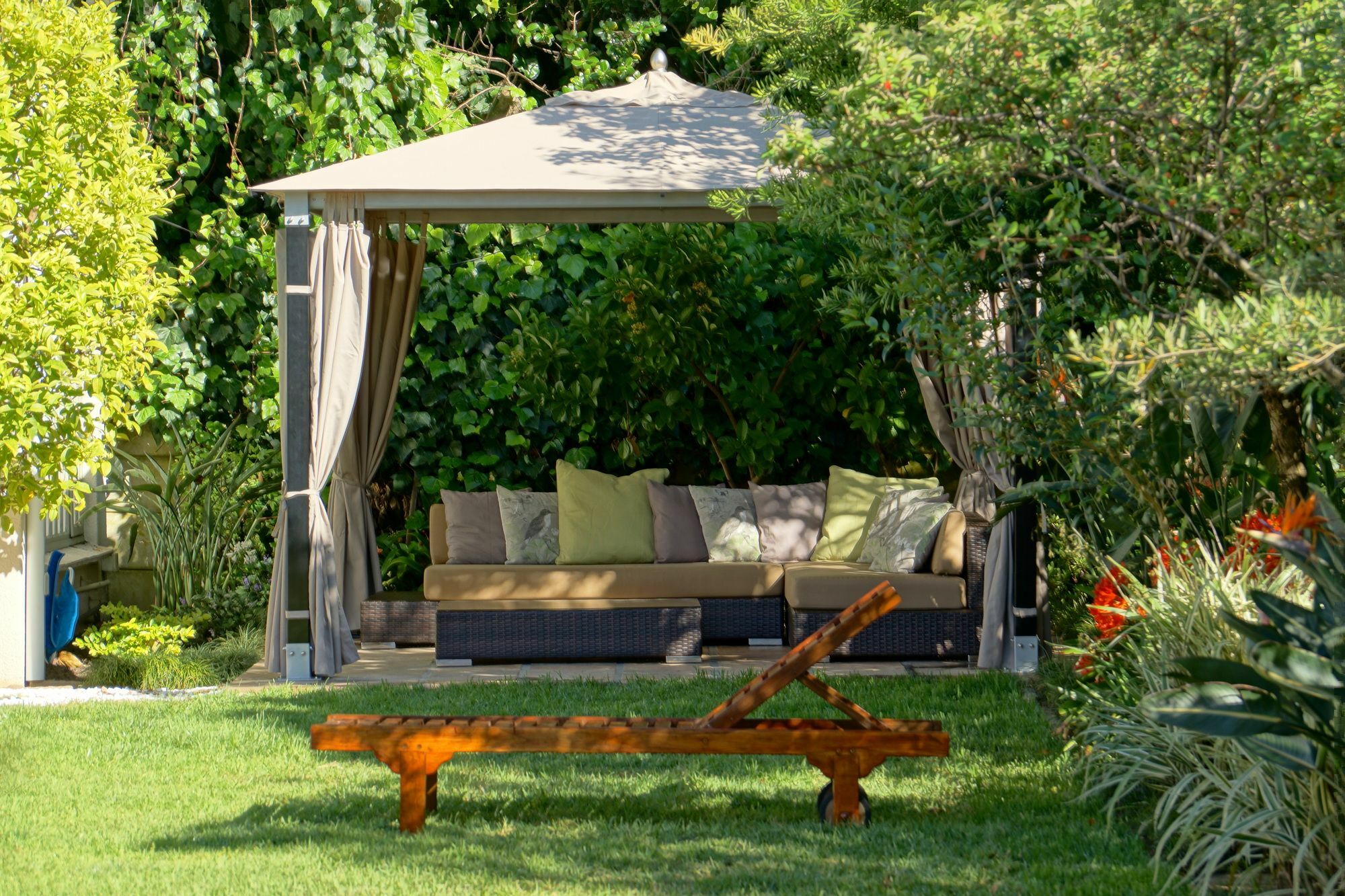 Wild Olive Guest House Le Cap Extérieur photo